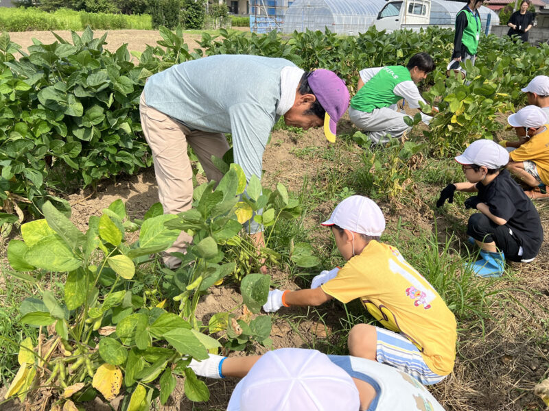 2026年度「食と農の体験スクール第2回」実施報告